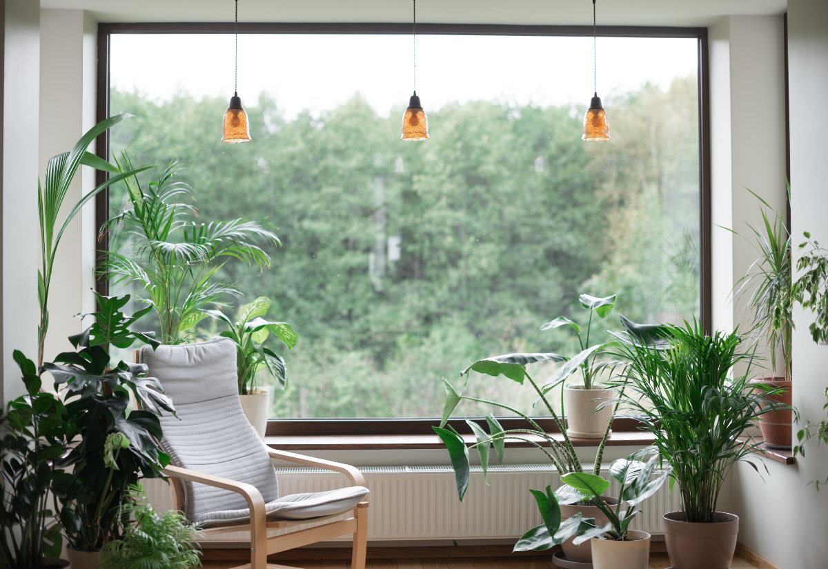 Rostliny, které vám zlepší kvalitu vzduchu ve vaší domácnosti